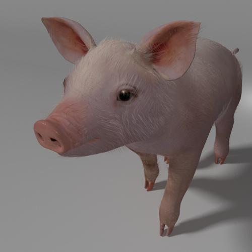 Piglet (rigged, a little) preview image
